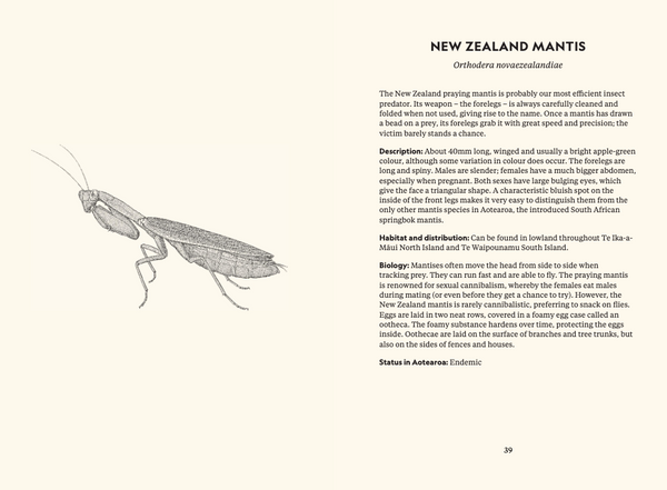 Te Papa Te Taiao Nature Series (Boxed Set) - The Ultimate Introduction to the Natural History of Aotearoa