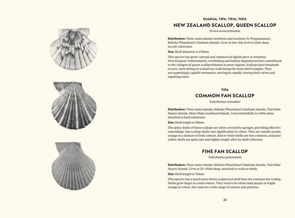 Te Papa Te Taiao Nature Series (Boxed Set) - The Ultimate Introduction to the Natural History of Aotearoa