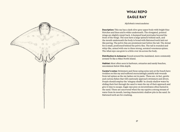 Te Papa Te Taiao Nature Series (Boxed Set) - The Ultimate Introduction to the Natural History of Aotearoa