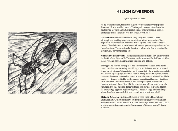 Te Papa Te Taiao Nature Series (Boxed Set) - The Ultimate Introduction to the Natural History of Aotearoa