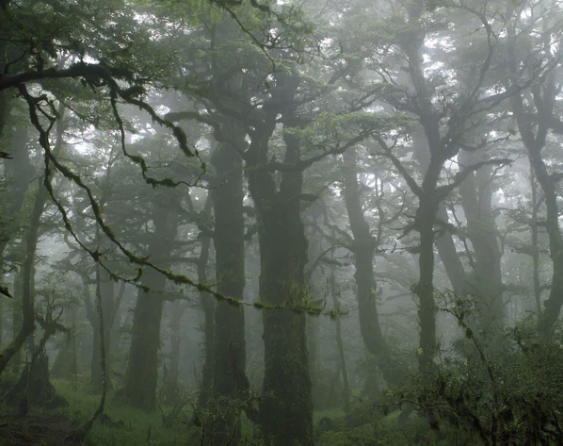 Moment & Memory - Folio Box Set