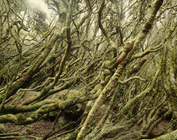 Moment & Memory - Folio Box Set