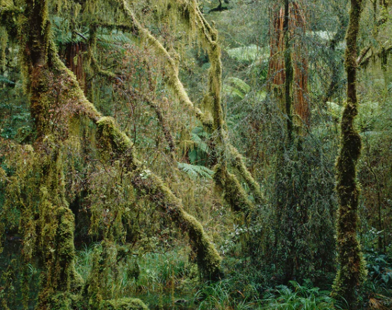 Moment & Memory - Folio Box Set