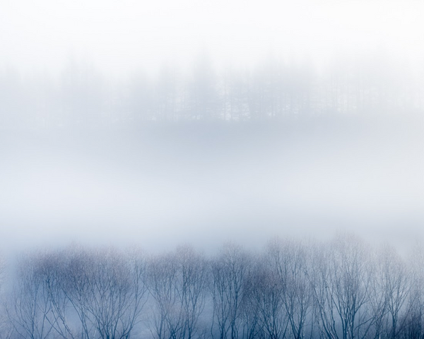 Silence - Folio Box Set