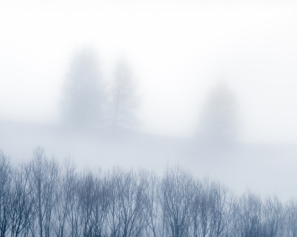 Silence - Folio Box Set