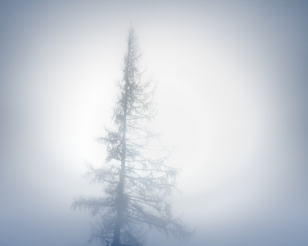 Silence - Folio Box Set