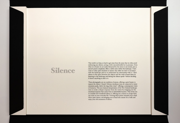 Silence - Folio Box Set