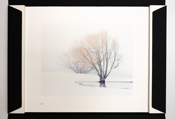 Silence - Folio Box Set