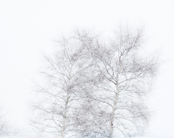 Silence - Folio Box Set