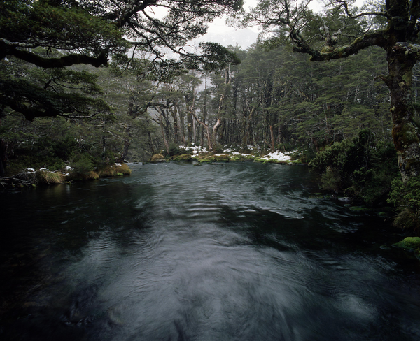 Moment & Memory - Folio Box Set