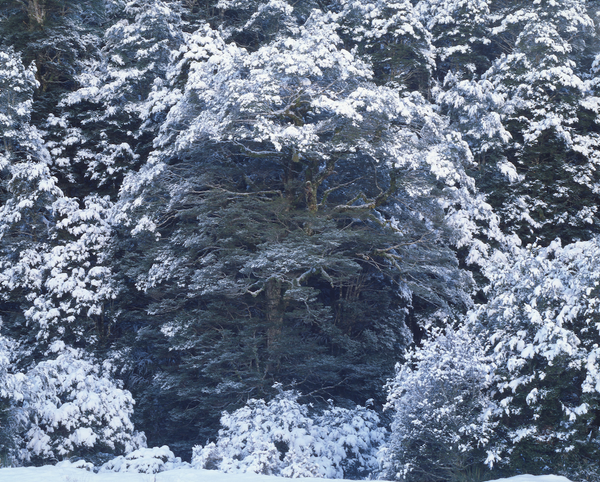 Moment & Memory - Folio Box Set