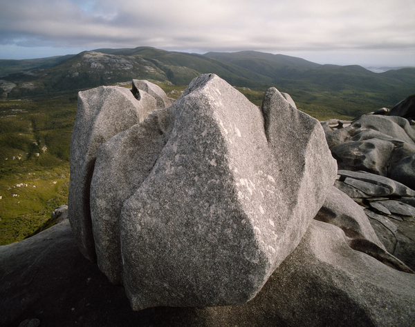 Moment & Memory - Folio Box Set