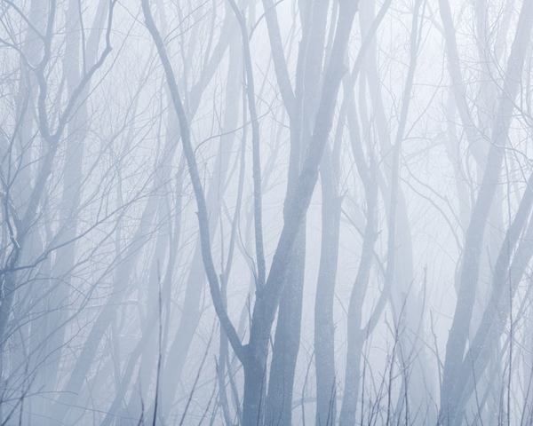 Silence - Folio Box Set