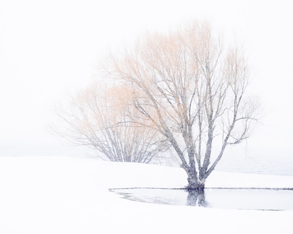 Silence - Folio Box Set