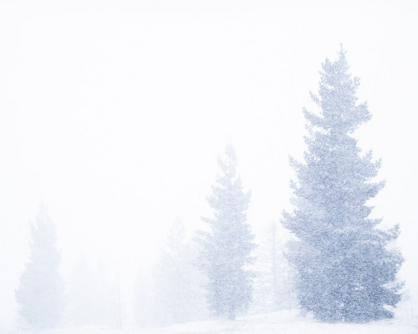 Silence - Folio Box Set