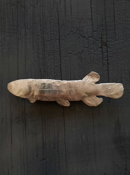 Kokopu Fish Brooch