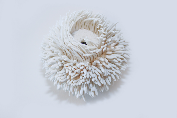 Urchin of the Sea - Sea Anenome II