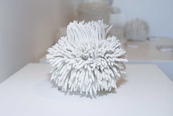 Urchin of the Sea - Sea Anenome II