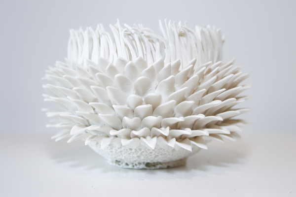 Sea Forms - Sea Anenome I