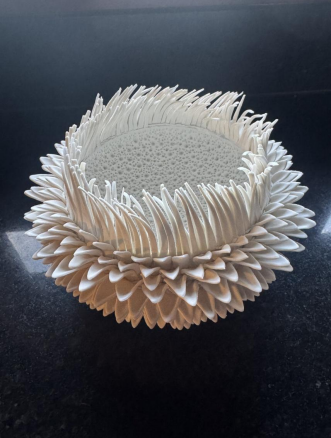 Sea Anenome