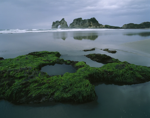 Wharariki Beach Greeting Card