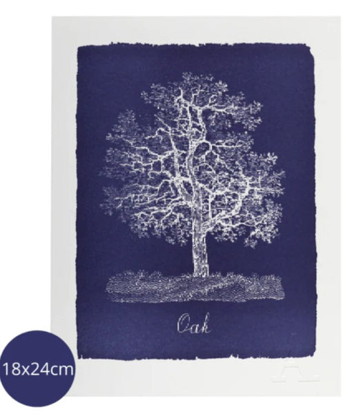 Oak Tree Blue Art Print