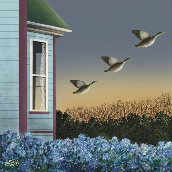 Dawn Departure - David Owen