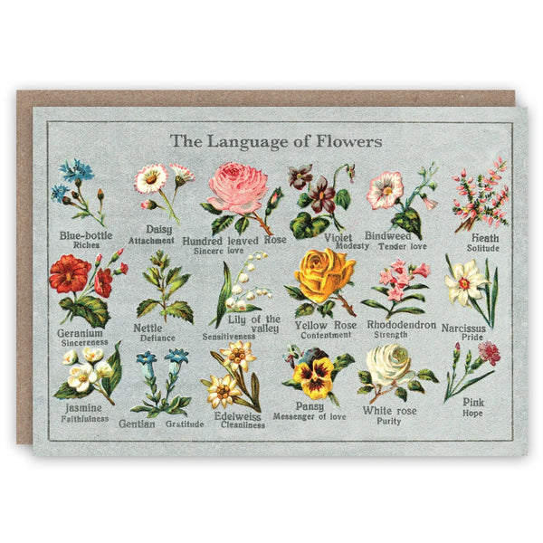 The Language of Flowers
