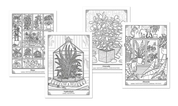 The Happy Houseplant Colouring Book - Caitlan Keegan
