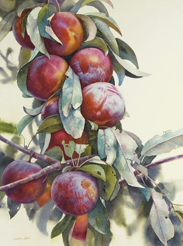 Plums (mini card) - Svetlana Orinko