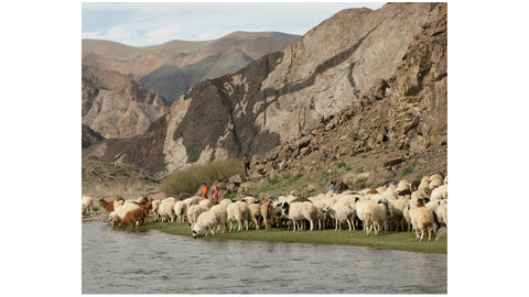 Mongolia XIV