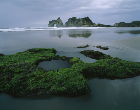 Wharariki Beach