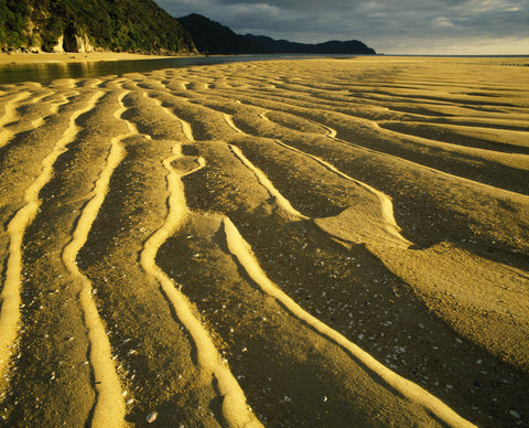 Sunrise Awaroa I