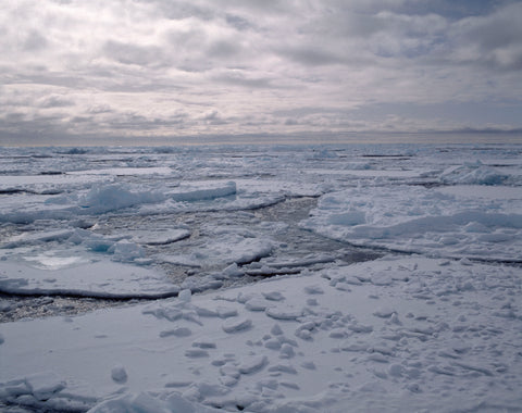 Ice Edge II, Ross Sea