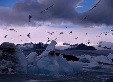 Glacier Lagoon III