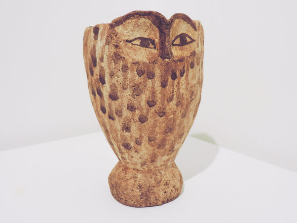 Ruru Owl