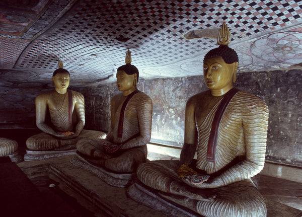Dambulla V