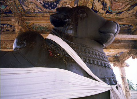 Nandi