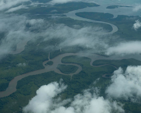 Osa Peninsula IV