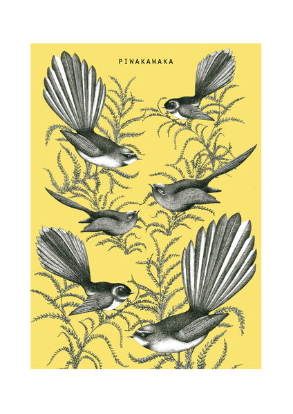 Fantail A4 Limited Edition Print