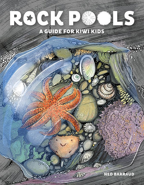 Rock Pools: A Guide for Kiwi Kids
