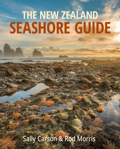The New Zealand Seashore Guide