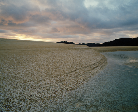 Shellbank, Awaroa