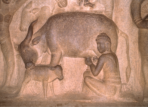 Malapucharam I