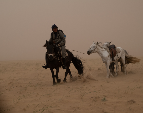 Horse in Sandstorm, Mongolia