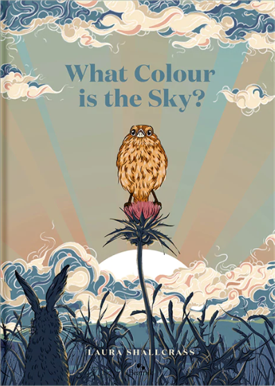What Colour is the Sky?