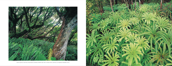 Rakiura: The Wild Landscapes of Stewart Island