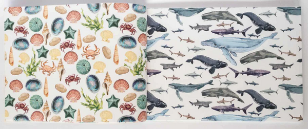 NZ Nature Wrapping Paper Book