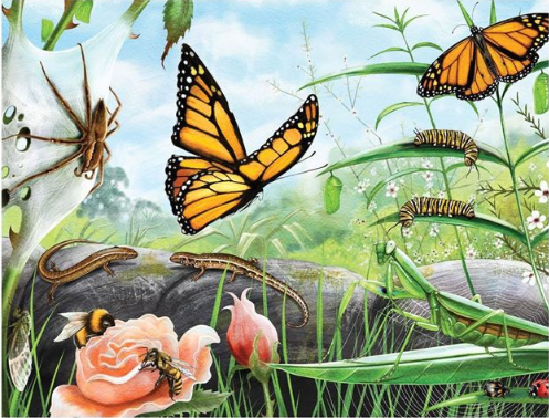 Treasures of Aotearoa 96pc Frame Tray Jigsaw Puzzle - Bugs & Butterflies