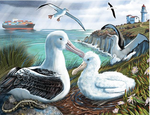 Treasures of Aotearoa 96pc Frame Tray Jigsaw Puzzle - Albatross Rookery